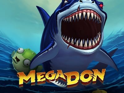 Mega Don screenshot